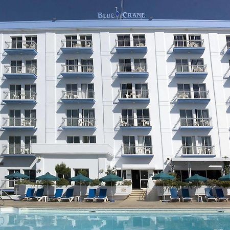 Blue Crane Hotel Apts Лимасол Экстерьер фото