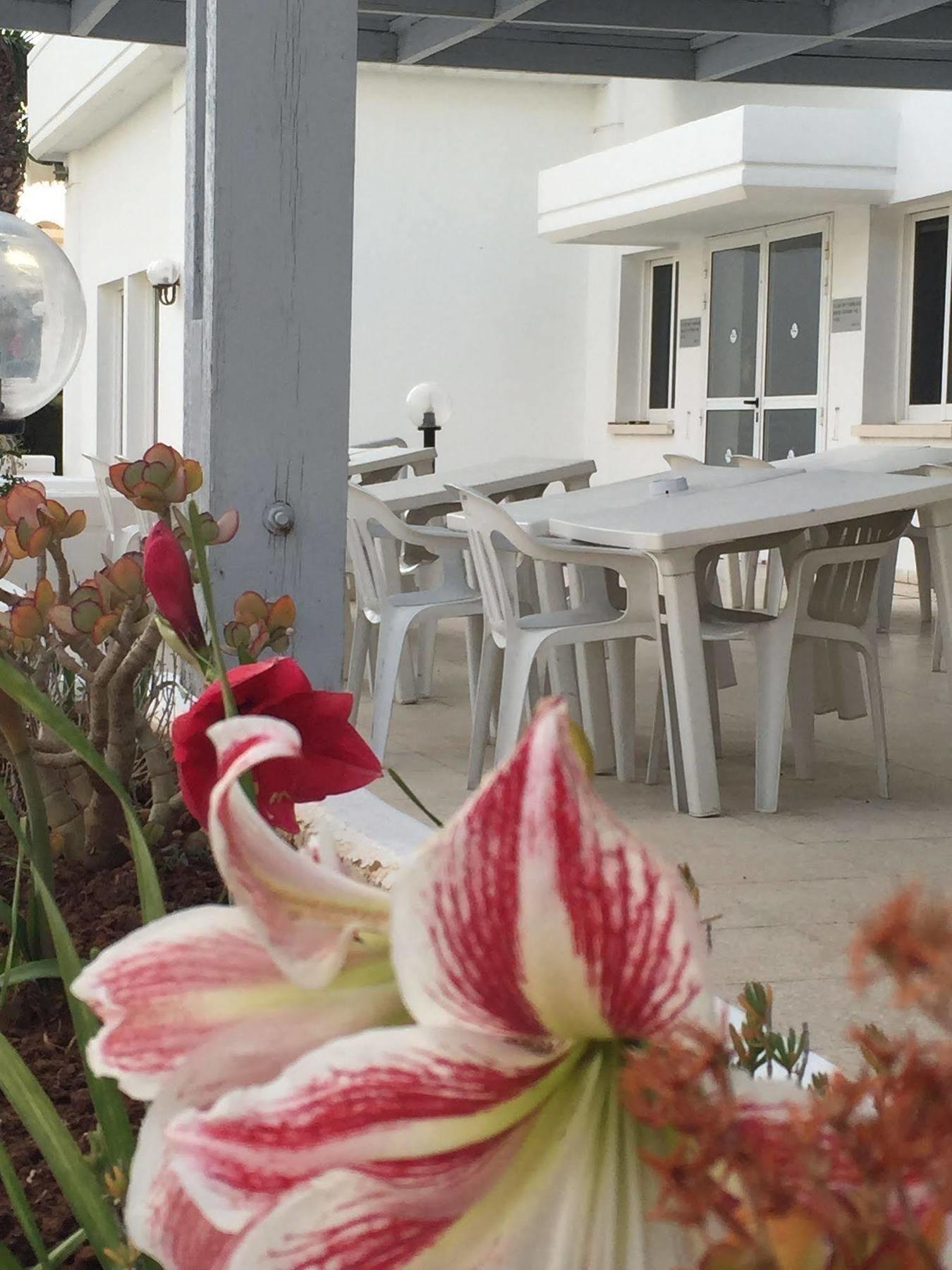 Blue Crane Hotel Apts Лимасол Экстерьер фото
